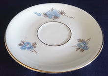 Lade das Bild in den Galerie-Viewer, UNTERTASSE - Porzellan, Goldrand & Innenrand Flora Blumenblüten Blatt Blätter Motiv Dekor (nBC)
