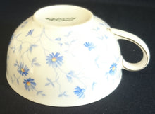 Lade das Bild in den Galerie-Viewer, 2er Set TEETASSEN - Porzellan, Flora Vergiss mein nicht Blumenblüten Pflanzen Motiv Dekor