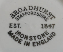 Lade das Bild in den Galerie-Viewer, 2er KAFFEEGEDECK - Keramik / Steingut, Flora Natur Landschaft Haus Häuser Baum Bäume Motiv Dekor