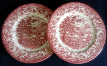 Lade das Bild in den Galerie-Viewer, 2er Set SPEISETELLER - Keramik / Steingut, Flora Blatt Blätter Pflanzen Landschaft Holzkarren Baum Bäume Kirche Dorf Motiv Dekor