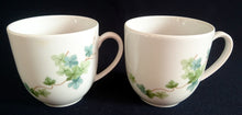 Lade das Bild in den Galerie-Viewer, 2er KAFFEEGEDECK - Porzellan, Flora Blatt Blätter Ranken Efeu Motiv Dekor (BC)