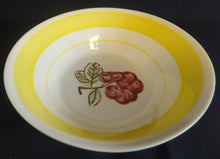 Lade das Bild in den Galerie-Viewer, 2er Set SALAT~ BEILAGENSCHALEN - Porzellan, Obst Himbeeren Weintrauben Breiter Dekorrand Motiv