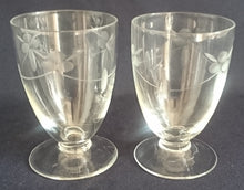 Lade das Bild in den Galerie-Viewer, LIKÖR GETRÄNKEGLAS - Hartglas, Mattiert Flora Blumenblüten Blatt Blätter Linie Motiv Dekor