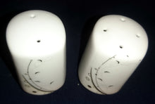 Lade das Bild in den Galerie-Viewer, 2er Set SALZ~ & PFEFFERSTREUER - Porzellan, Flora Abstrakt Grashalme Blatt Blätter Motiv Dekor