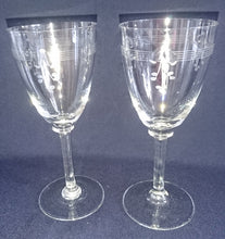 Lade das Bild in den Galerie-Viewer, 2er Set WEIN~ GETRÄNKEGLÄSER - Hartglas, Flora Pflanzen Obst Trauben Motiv Dekor