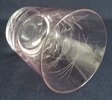 Lade das Bild in den Galerie-Viewer, 2er Set GETRÄNKEGLÄSER - Kristallglas, Flora Wiesen Pflanzen Schilfhalme Relief Motiv Dekor