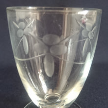 Lade das Bild in den Galerie-Viewer, LIKÖR GETRÄNKEGLAS - Hartglas, Mattiert Flora Blumenblüten Blatt Blätter Linie Motiv Dekor