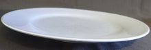 Lade das Bild in den Galerie-Viewer, SPEISETELLER - Keramik / Steingut, Einfärbiges Modern Motiv Dekor (BC)