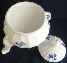 Lade das Bild in den Galerie-Viewer, TEEKANNE MIT DECKEL - Porzellan, Flora Rosenblumen Blüten Blatt Blätter Linien Relief Motiv Dekor