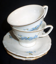 Lade das Bild in den Galerie-Viewer, 2er Set 2er MOCCAGEDECKE - Porzellan, Goldrand Vergiss mein Nicht Blumenblüten Flora Pflanzen Gewölbter Relief Motiv Dekor