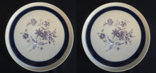 Lade das Bild in den Galerie-Viewer, 2er Set DESSERTTELLER - Porzellan, Flora Pflanzen Blumenblüten Breiter Dicker Dekorrand Motiv Dekor