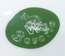 Lade das Bild in den Galerie-Viewer, 2er Set DESSERTTELLER - Porzellan, Flora Pflanzen Blumenblüten Breiter Dicker Dekorrand Motiv Dekor