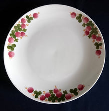 Lade das Bild in den Galerie-Viewer, 2er Set SPEISETELLER - Porzellan, Flora Blumenblüten Pflanzen Kleeblatt Blätter Motiv Dekor