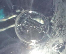 Lade das Bild in den Galerie-Viewer, LONGDRINK~ GETRÄNKEGLAS - Hartglas, Säulen Relief Caipirinha Pitu Aufschrift Motiv Dekor