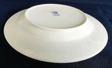 Lade das Bild in den Galerie-Viewer, DESSERTTELLER "Caroline" - Porzellan, Flora Blatt Blätter Blumen Blüten Pflanzen Linien Balken Motiv Dekor