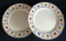 Lade das Bild in den Galerie-Viewer, 15 Teiliges TEESERVICE "Flirt" - Porzellan, Flora Blumenblüten Pflanzen Linien Streifen Rand Motiv Dekor