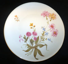 Lade das Bild in den Galerie-Viewer, DESSERTTELLER - Porzellan, Goldrand Flora Pflanzen Blumenblüten Blatt Blätter Motiv Dekor