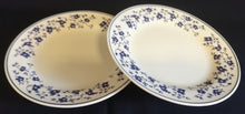 Lade das Bild in den Galerie-Viewer, 2er Set DESSERTTELLER - Keramik / Steingut, Flora Blumenblüten Ranken Pflanzen Blatt Blätter Motiv Dekor