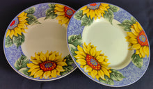 Lade das Bild in den Galerie-Viewer, 15 Teiliges KAFFEESERVICE - Porzellan, Flora Sommer Sonnenblumen Blüten Motiv Dekor (E)