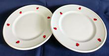Lade das Bild in den Galerie-Viewer, 2er Set DESSERTTELLER "Käfer" - Porzellan, Fauna Käfer Insekten Motiv Dekor
