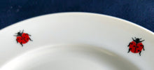 Lade das Bild in den Galerie-Viewer, 2er Set BROTZEIT~ BEILAGENTELLER "Käfer" - Porzellan, Fauna Käfer Insekten Motiv Dekor