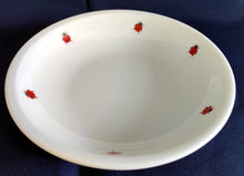 Lade das Bild in den Galerie-Viewer, 2er Set SALAT~ BEILAGENSCHALE "Käfer" - Porzellan, Fauna Käfer Insekten Motiv Dekor