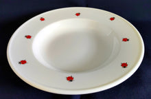 Lade das Bild in den Galerie-Viewer, SUPPENTELLER "Käfer" - Porzellan, Fauna Käfer Insekten Motiv Dekor