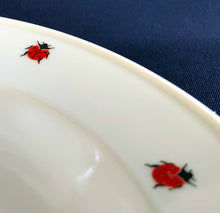 Lade das Bild in den Galerie-Viewer, SUPPENTELLER "Käfer" - Porzellan, Fauna Käfer Insekten Motiv Dekor