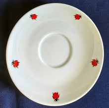 Lade das Bild in den Galerie-Viewer, 3er KAFFEEGEDECK "Käfer" - Porzellan, Fauna Käfer Insekten Motiv Dekor