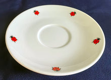 Lade das Bild in den Galerie-Viewer, UNTERTASSE "Käfer" - Porzellan, Fauna Käfer Insekten Motiv Dekor