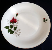 Lade das Bild in den Galerie-Viewer, 2er Set SPEISETELLER - Porzellan, Flora Rosenblumen Blüten Blatt Blätter Goldrand Motiv Dekor