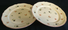 Lade das Bild in den Galerie-Viewer, 2er Set SPEISETELLER "Petite Fleur" - Porzellan, Flora Verschiedene Blumenblüten Blatt Blätter Motiv Dekor