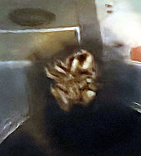 Lade das Bild in den Galerie-Viewer, MOCCA KAFFEEKANNE MIT DECKEL - Porzellan, Silber Patiniert Linien Streifen Relief Motiv Dekor