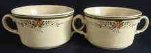 Lade das Bild in den Galerie-Viewer, 2er Set SUPPENTASSEN - Porzellan, Doppelte Linien Flora Blumenblüten Ranken Meliertes Motiv Dekor