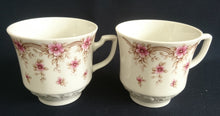 Lade das Bild in den Galerie-Viewer, KAFFEETASSE - Porzellan, Flora Blumenblüten Pflanzen Relief Motiv Dekor