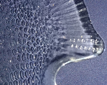 Lade das Bild in den Galerie-Viewer, 2er Set SERVIERPLATTEN - Press- / Hartglas, Fischform Dekor