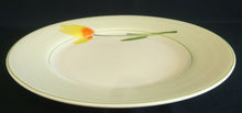 Lade das Bild in den Galerie-Viewer, SPEISETELLER - Porzellan, Blumen / Hellgrüner Dekorrand