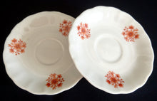 Lade das Bild in den Galerie-Viewer, 2er Set UNTERTASSEN - Porzellan, Blumenstrauß Pflanzen Blüten Gewölbter Relief Rand Dekor