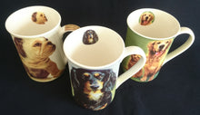 Lade das Bild in den Galerie-Viewer, 3er Set KAFFEETASSEN - Porzellan, Bulldogge Langhaardackel Labrador Hunde & Katze Innen Motiv Dekor