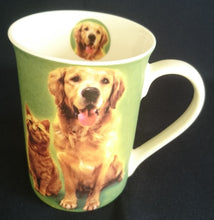 Lade das Bild in den Galerie-Viewer, 3er Set KAFFEETASSEN - Porzellan, Bulldogge Langhaardackel Labrador Hunde & Katze Innen Motiv Dekor