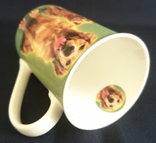 Lade das Bild in den Galerie-Viewer, 3er Set KAFFEETASSEN - Porzellan, Bulldogge Langhaardackel Labrador Hunde & Katze Innen Motiv Dekor
