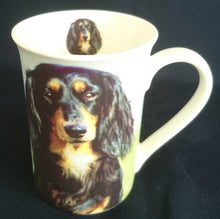 Lade das Bild in den Galerie-Viewer, KAFFEETASSE - Porzellan, Langhaardackel Hunde Innen Motiv Dekor