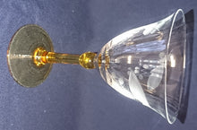 Lade das Bild in den Galerie-Viewer, 2er Set GETRÄNKEGLÄSER - Hartglas, Pflanzen Weintrauben Dekor