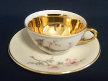 Lade das Bild in den Galerie-Viewer, 2teiliges MOCCA SAMMELGEDECK - Porzellan, Klassisch Style, Vogel Tier Pflanzen Dekor