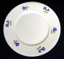 Lade das Bild in den Galerie-Viewer, DESSERTTELLER - Porzellan, Blaue Enzian Blumen Blüten Pflanzen Motiv Randdekor