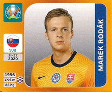 Lade das Bild in den Galerie-Viewer, Standard STICKER UEFA EUROPAMEISTERSCHAFT 2020 - Verschiedene Aufkleber Sticker (GnoE)