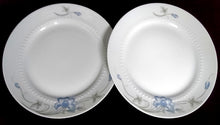 Lade das Bild in den Galerie-Viewer, DESSERTTELLER - Porzellan, Flora Blumenblüten Blatt Blätter Relief Punkte Randdekor Motiv
