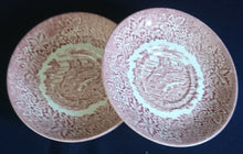 Lade das Bild in den Galerie-Viewer, UNTERTASSE - Keramik / Steingut, Landschaft Berg Burg Flora Blatt Blätter Baum Bäume Motiv Dekor
