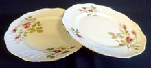 Lade das Bild in den Galerie-Viewer, 2er Set DESSERTTELLER "Rose Mousse" - Porzellan, Flora Rosenblumen Bouquet Pflanzen Relief Goldrand Motiv Dekor
