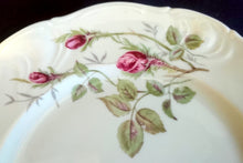 Lade das Bild in den Galerie-Viewer, DESSERTTELLER "Rose Mousse" - Porzellan, Flora Rosenblumen Bouquet Pflanzen Relief Goldrand Motiv Dekor
